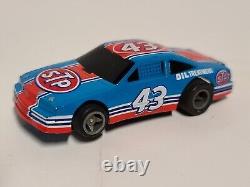 VTG 1993 LIFE-LIKE Racing Legends à Daytona HO Scale SLOT CARS, RICHARD PETTY  <br/>
	 <br/>Translation: VTG 1993 LIFE-LIKE Racing Legends à Daytona HO Scale VOITURES À ÉCHELLE SLOT, RICHARD PETTY